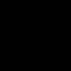 Meet your Posher, Maizie